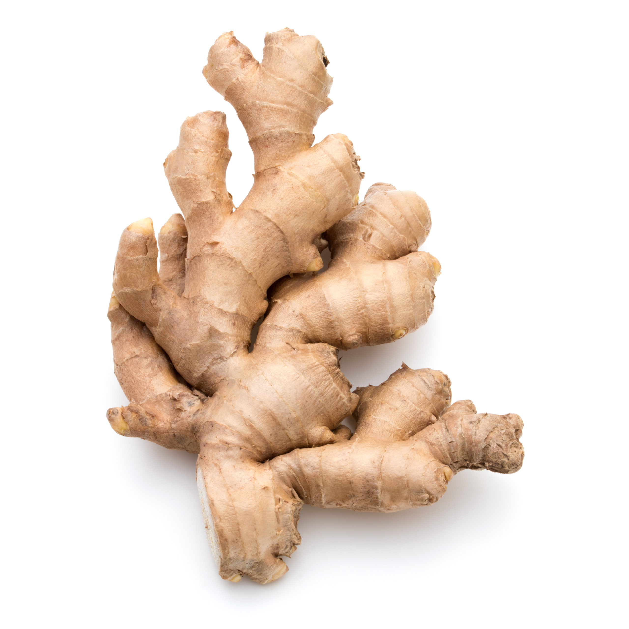 Fresh-ginger-root-or-rhizome-isolated-on-white-background-cutout_521523811-scaled